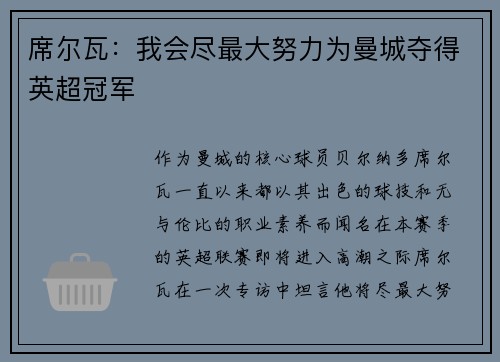 席尔瓦：我会尽最大努力为曼城夺得英超冠军